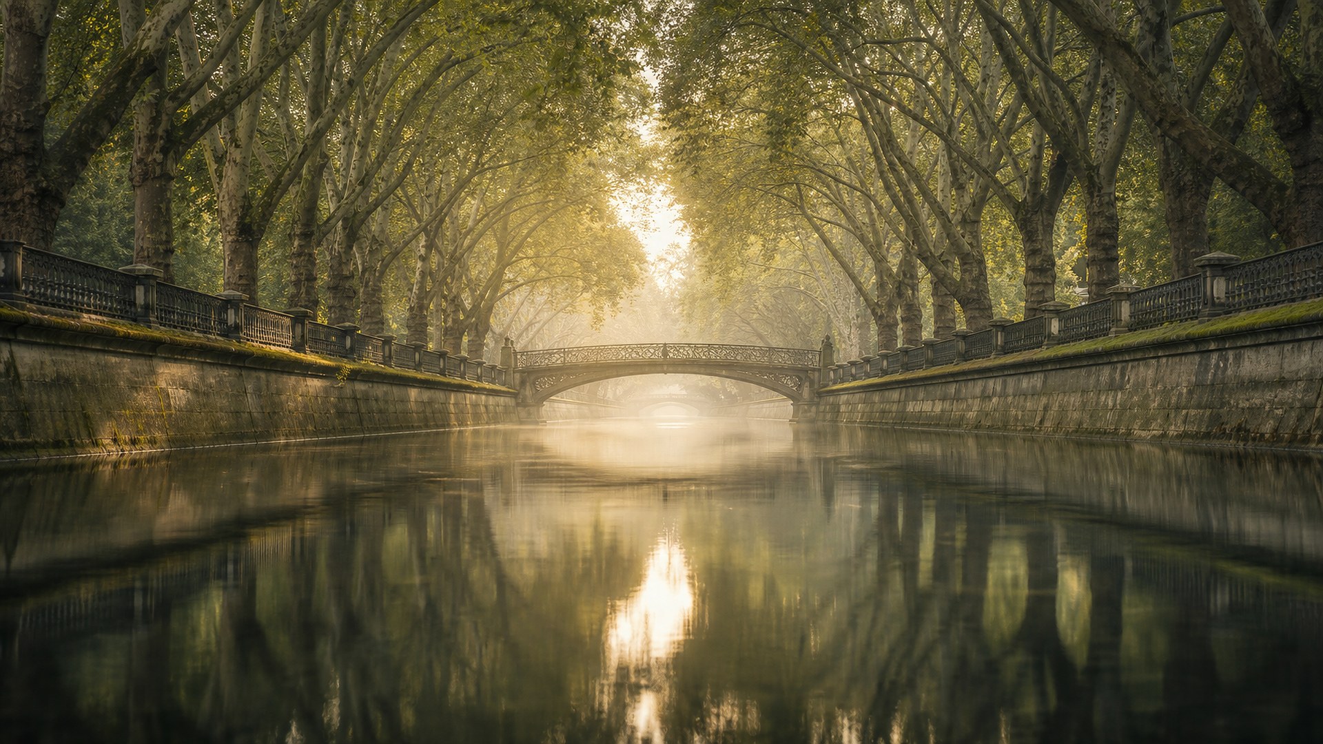 Königsallee, Düsseldorf
